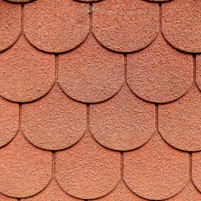 Shingle Çatı